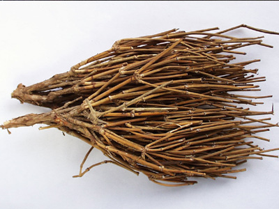 }IEEphedraceae  Ephedra sinica Stapf(Vi}IE)Ȃǂ̗ΐF}̂łBAJCh0.3`1.5%ܗLAGtFhAv\ChGtFhAmGtFhAmv\ChGtFhA`GtFhȂǂܗLB