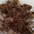 L|EQ Ranunculaceae ̃J}c\EA Thalictrum foliolosum DC. , T. baicalense TURCZ. Ȃǂ̒n̂̂łB
